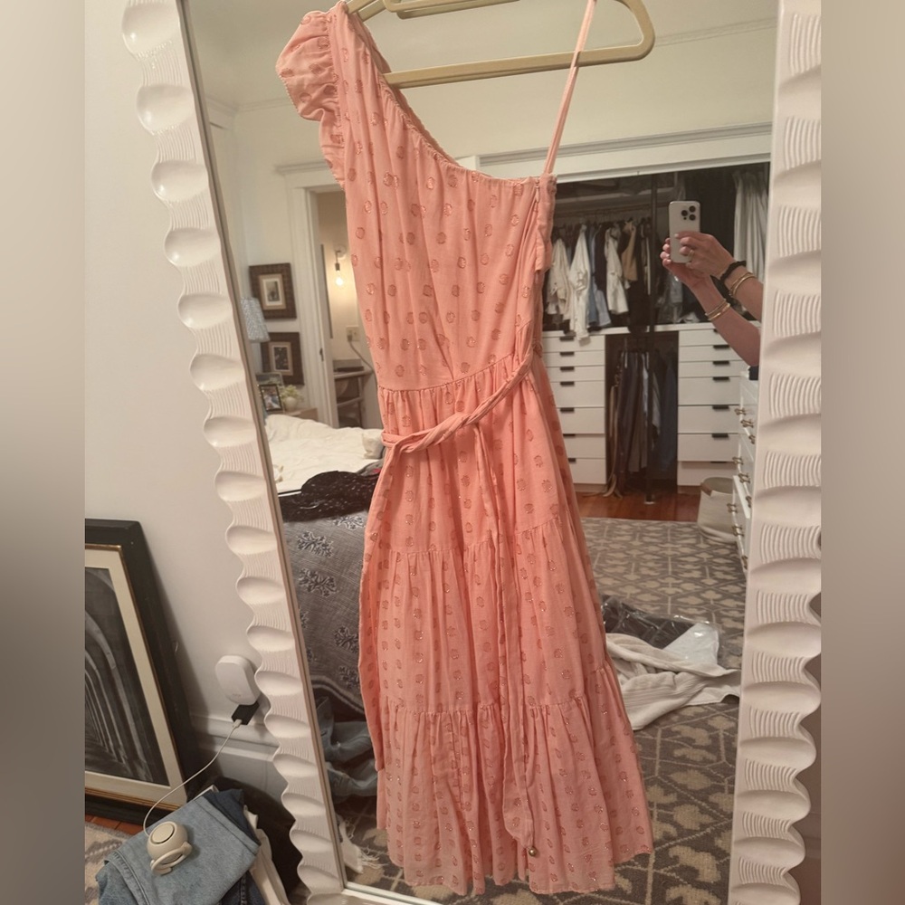 Karina Grimaldi One Shoulder Pink Dress